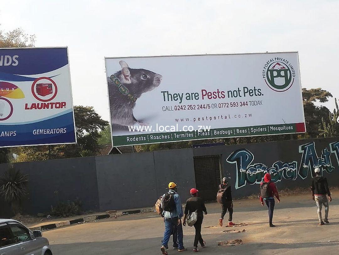 pest control harare pest control harare