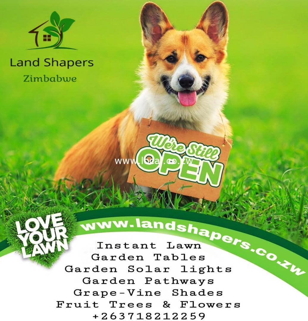 153529283_245004673895027_5732968627179597776_n