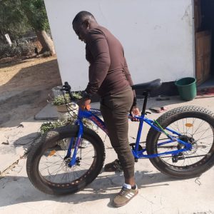 raleigh bike for sale harare