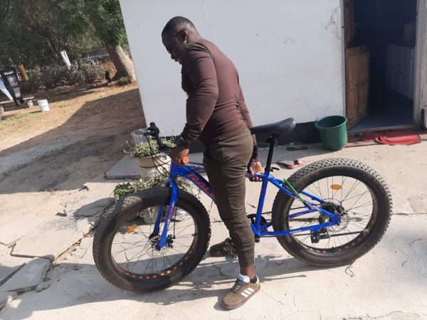 raleigh bike for sale harare