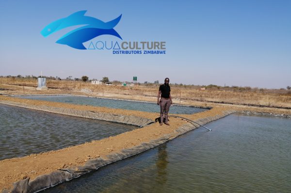 aquaculture harare