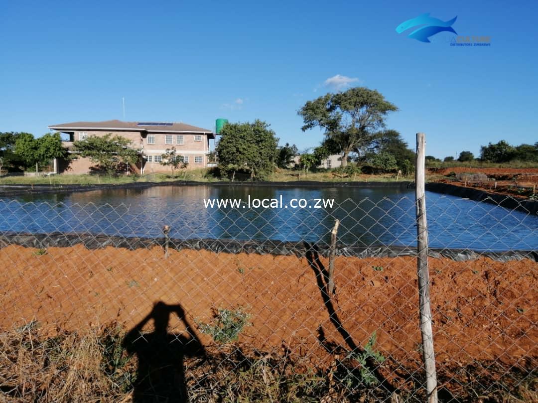 inbound7657486868763510923