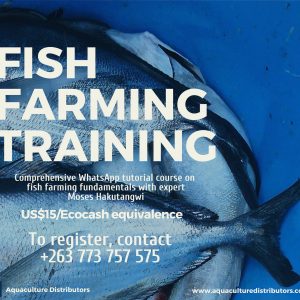 fish farming training zimbabwe