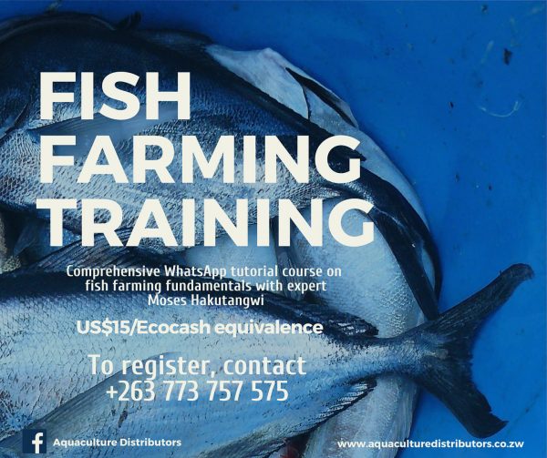 fish farming training zimbabwe