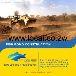 fish pond construction zimbabwe