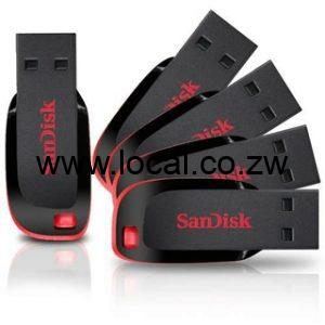 sandisk flush drive