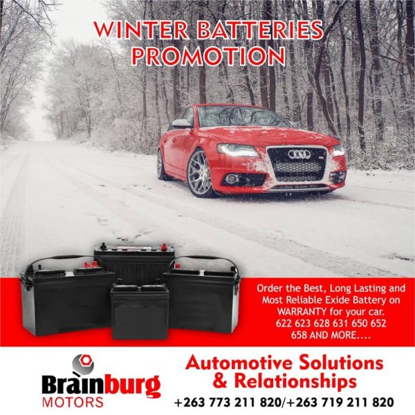 Winter Batteries Promotions
