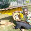 Mbira Sales, Repairs & Tuning harare zimbabwe 2