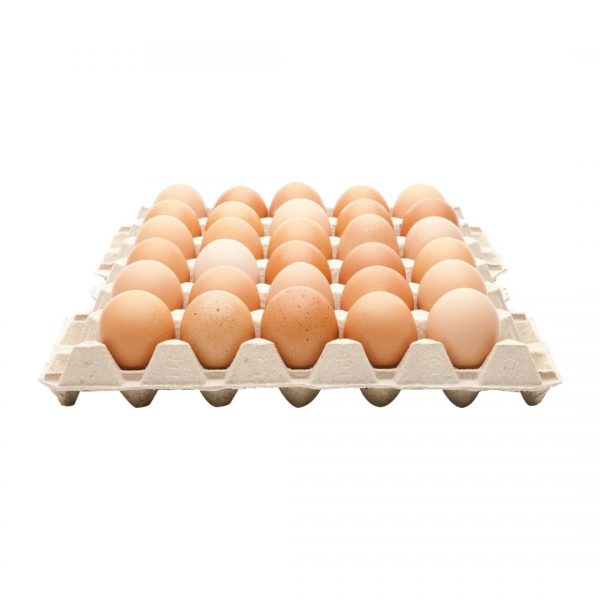 Eggs for sale in Mutare 2