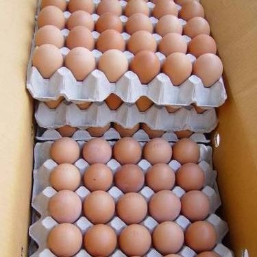 Eggs for sale in Mutare