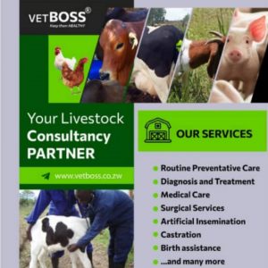 Livestock Consultancy Services Harare Zimbabwe