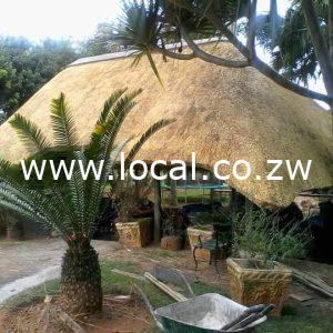 Gazebos and Thatching Services