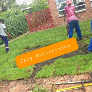 Kikuyu Instant lawn Harare Zimbabwe