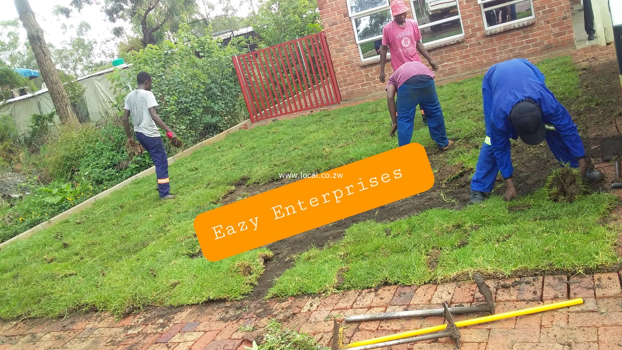 Kikuyu Instant lawn Harare Zimbabwe Kikuyu Instant lawn Harare Zimbabwe